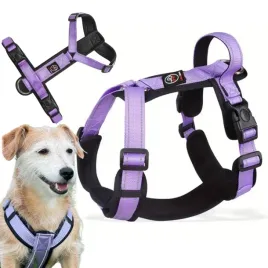 szelki-guard-spacerowe-regulowane-dla-psa-capri-fiolet-rozm-l