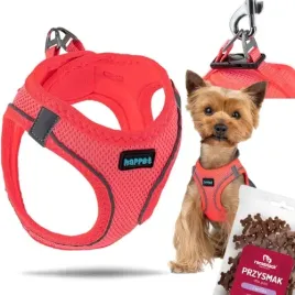 mocne-szelki-bezuciskowe-dla-malego-psa-kota-s-36-44-cm-gratis