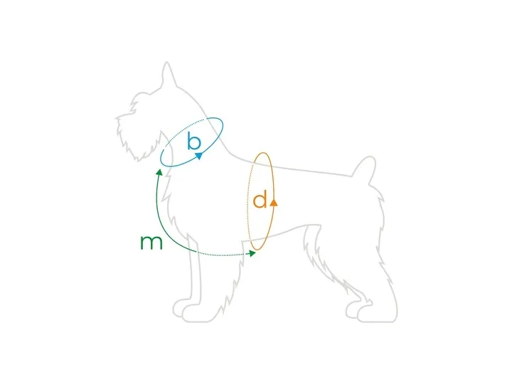 amiplay-szelki-regulowane-guard-behappy-m-cherry-kolor-odcienie-czerwieni