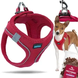 mocne-szelki-bezuciskowe-dla-psa-kota-m-44-48-cm-gratis-smaczki