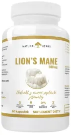 altopharma-lion-s-mane-500-mg-ekstrakt-z-owocni-soplowki-jezowatej-60kaps