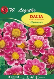 dalia-hartenaas-kolnierzykowa-w-legutko