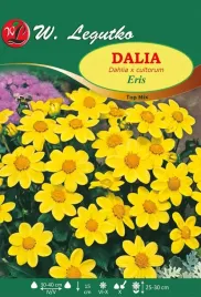 dalia-eris-top-mix-klacza-30-40-cm-zolta-w-legutko