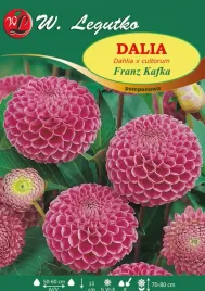 dalia-franz-kafka-pomponowa-w-legutko