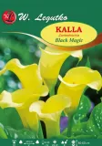 kalla-black-magic-w-legutko