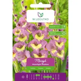 mieczyk-moonlight-shadow-w-legutko