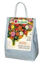 dalie-dalinova-love-mieszanka-do-pojemnikow-w-legutko