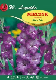 mieczyk-blue-isle-wielkokwiatowy-w-legutko