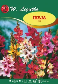 iksja-mix-kolorow-w-legutko