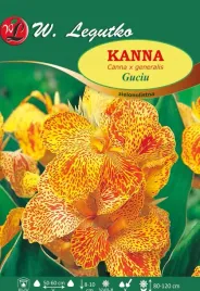 kanna-guciu-zielonolistna-w-legutko