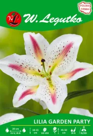 lilia-orientalna-garden-party-w-legutko