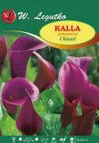 kalla-chianti-w-legutko