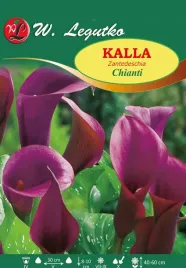 kalla-chianti-w-legutko