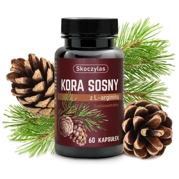 SKOCZYLAS Kora Sosny z l-argininą 60 kapsułek krążenie LIBIDO wydolność