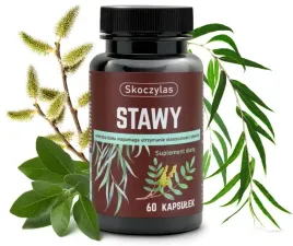 skoczylas-stawy-60-kapsulek-kosci-antyoksydant-wit-e-ashwagandha-bor-mangan