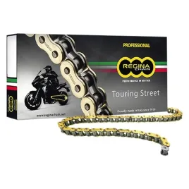 regina-lancuch-137zrt-touring-street-525-124-ogniwa-137zrt-018