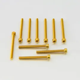 probolt-zestaw-srub-imbusowych-m6-x65mm-pb665-10g
