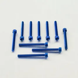 probolt-zestaw-srub-imbusowych-m6-x60mm-pb660-10b