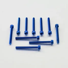 probolt-zestaw-srub-imbusowych-m6-x55mm-pb655-10b
