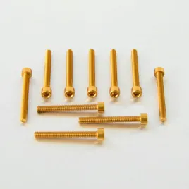probolt-zestaw-srub-imbusowych-m6-x55mm-pb655-10g