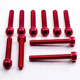 probolt-zestaw-srub-imbusowych-m6-x45mm-pb645-10r