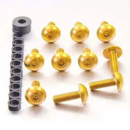probolt-zestaw-srub-owiewek-m5-x16mm-fb516-10g