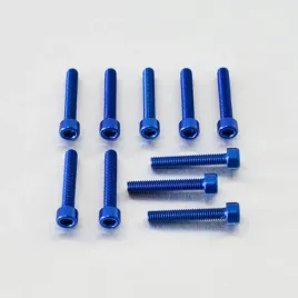 probolt-zestaw-srub-imbusowych-m6-35mm-pb635-10b