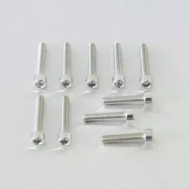 probolt-zestaw-srub-imbusowych-m6-30mm-pb630-10s