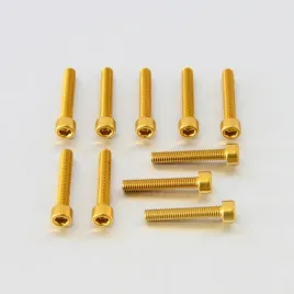 probolt-zestaw-srub-imbusowych-m6-35mm-pb635-10g