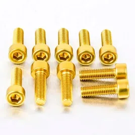 probolt-zestaw-srub-imbusowych-m5-16mm-pb516-10g