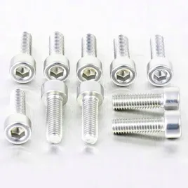 probolt-zestaw-srub-imbusowych-m5-16mm-pb516-10s