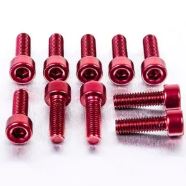 probolt-zestaw-srub-imbusowych-m5-16mm-pb516-10r