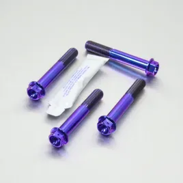 probolt-sruby-mocujace-zacisk-tytan-bmw-s1000rr