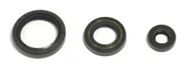 athena-uszczelniacze-silnika-husqvarna-tc-te-250
