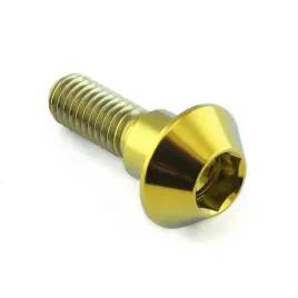 probolt-tytanowa-sruba-tarczy-yamaha-fjr-1300-as