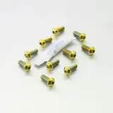 probolt-sruby-tarczy-hamulcowej-du-streetfighter