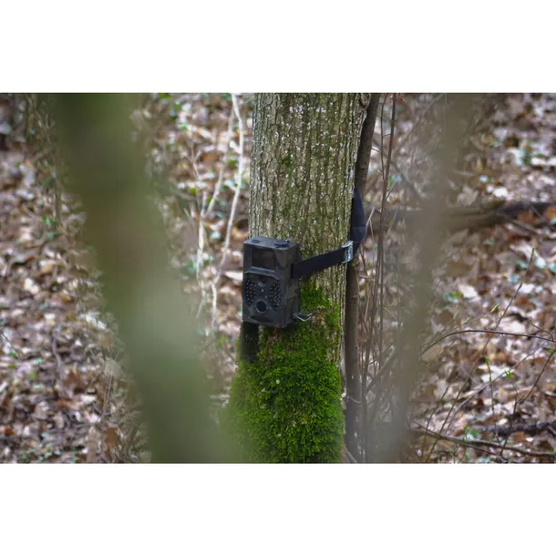 braun-scouting-cam-black300