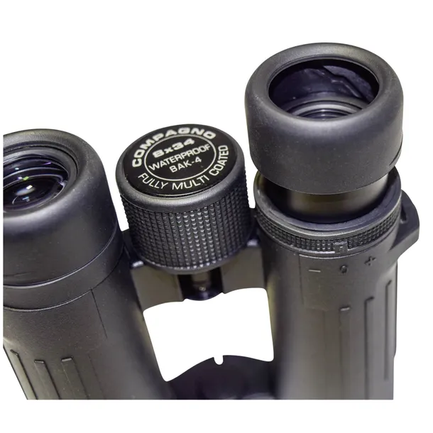 braun-compagno-8x34-wp