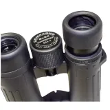 braun-compagno-8x34-wp