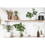 tfa-30-1065-cyfrowy-termometr