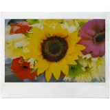 fujifilm-instax-wide-evo