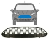 grill-do-ford-fiesta-2008-2017