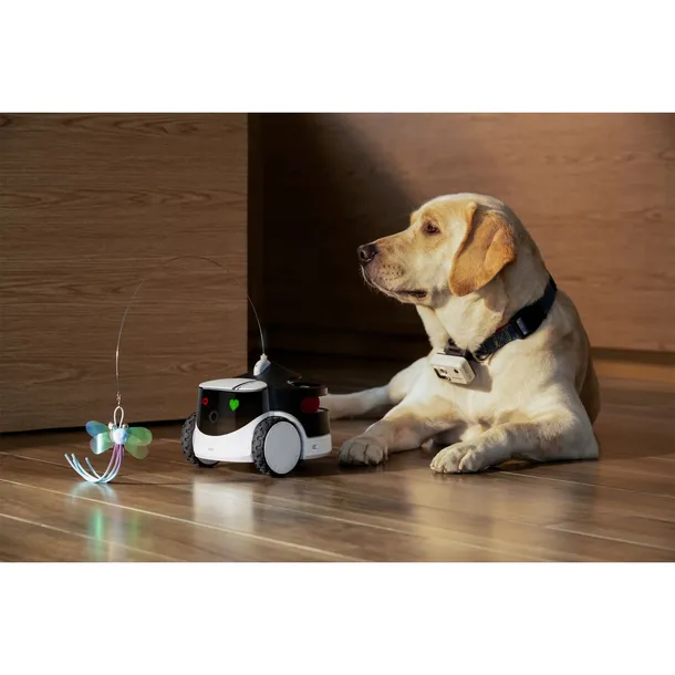 enabot-rola-petpal-toys-module