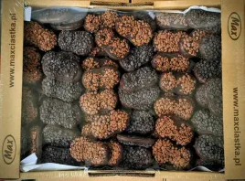 max-ciastka-brownie-22-kg