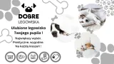 legowisko-dla-psa-soft-stripe-m-80-65-kod-producenta-565132