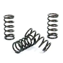 sprezyny-sprzeglowe-prox-honda-crf-150r-07-21-wzmocniona-konstrukcja