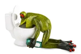 figura-zaba-zabka-zabawna-dekoracja-ciezki-poranek-refluks-do-wc-kac