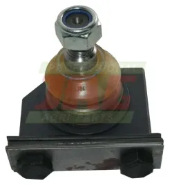 glowka-kosy-radura-420203303-01