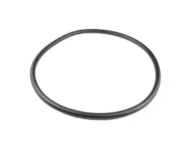 oring-zwolnicy-massey-ferguson-1701153m1-01