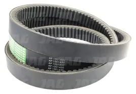 pas-wariatorowy-optibelt-agro-power-laverda-massey-ferguson-ap1001450